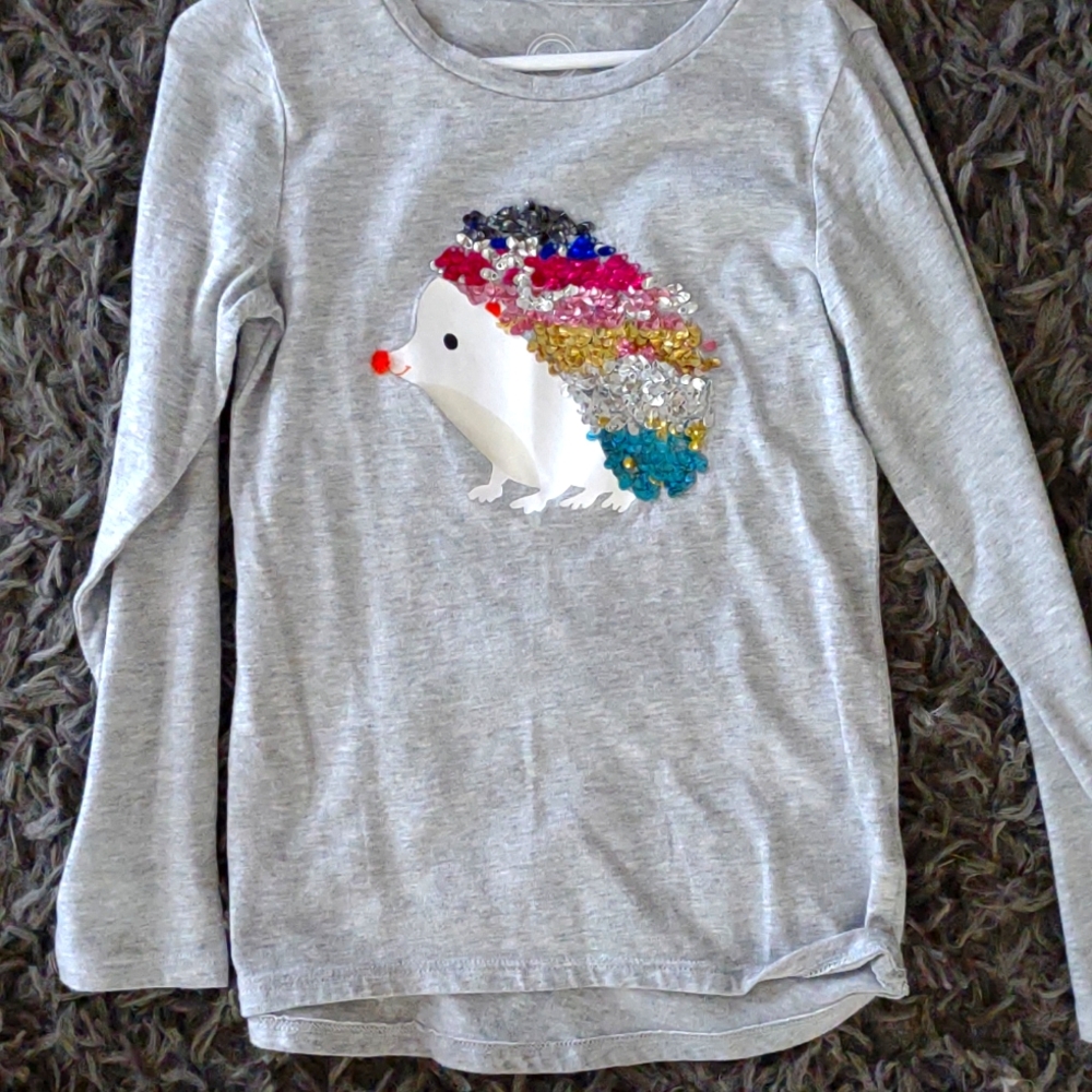 Colorful sequin hedgehog